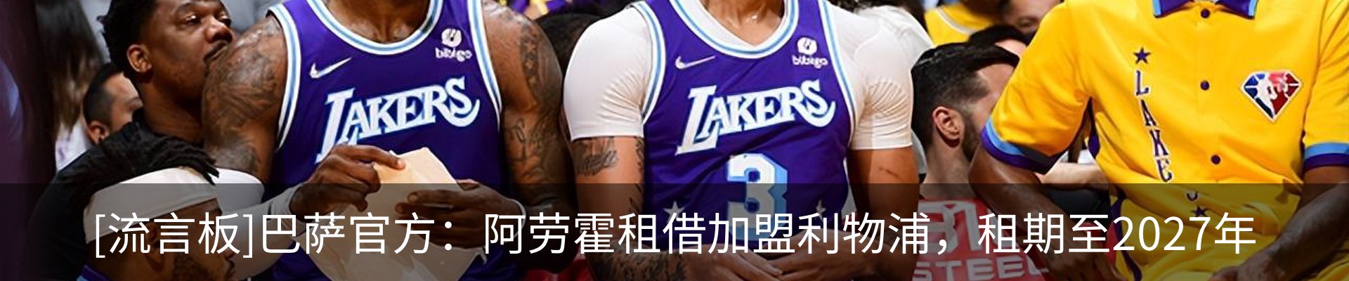 新闻动态